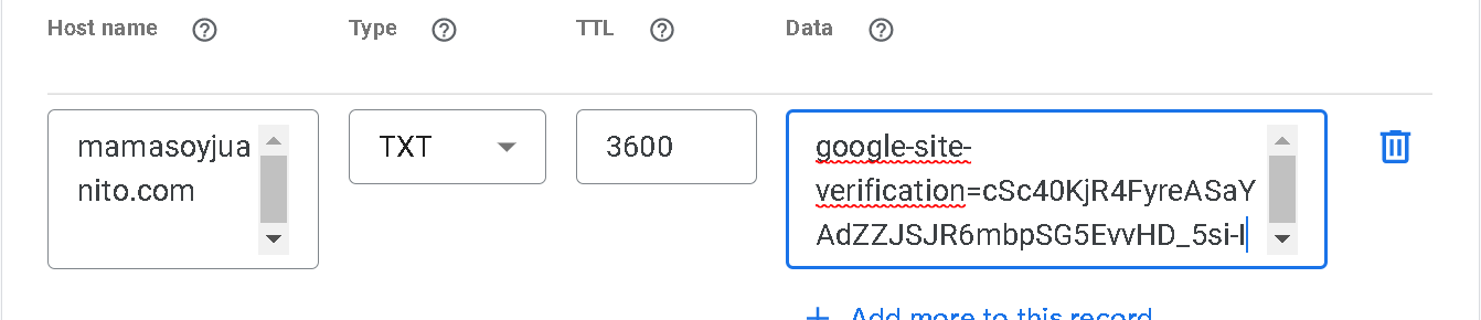 Google domains add custom record 1